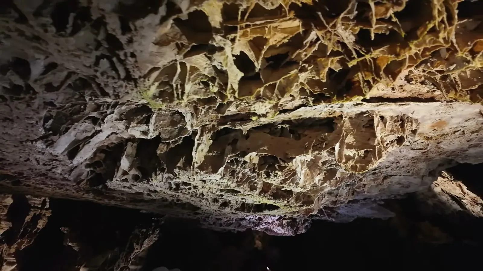 Honeycomb-patterned boxwork fins covering the ceiling of a lit passage inside Wind Cave