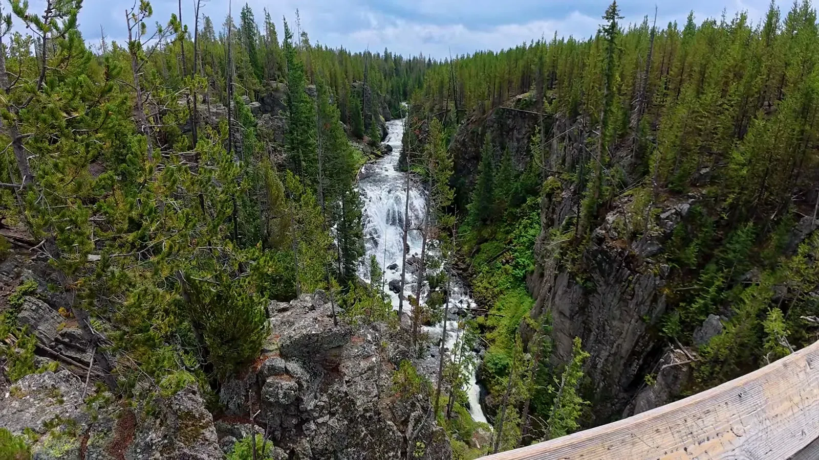 Kepler Cascades tumbling down a narrow rocky gorge lined with pine trees