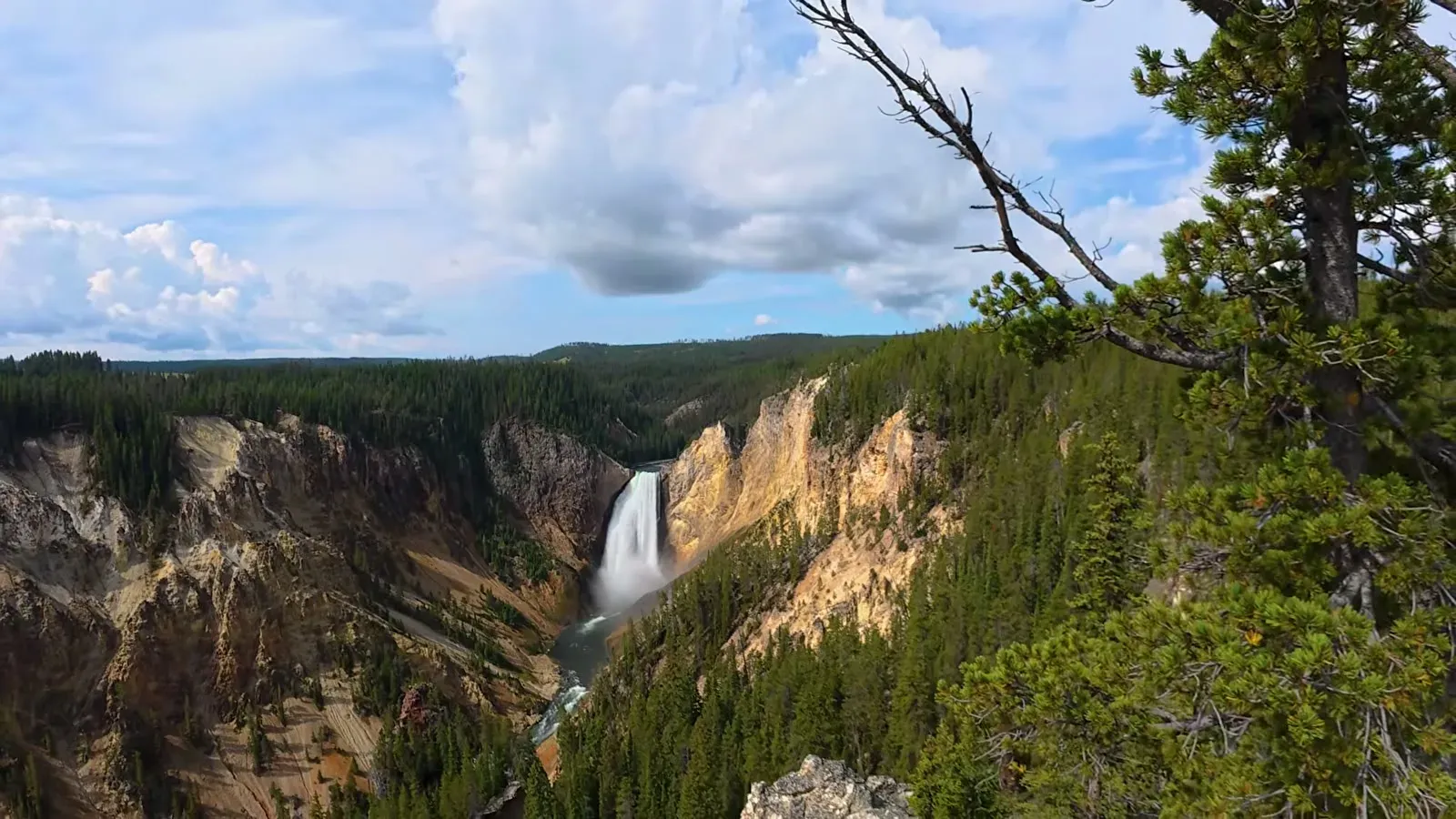 The Lower Falls seen from the North Rim Trail, framed by pine branches and the yellow walls of the canyon
