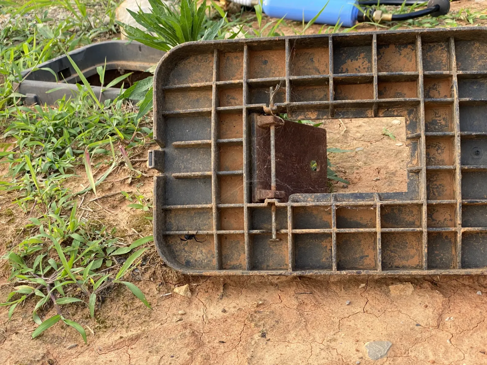 A black widow spider on the underside of the water hookup box cover at our Ditto Landing campsite