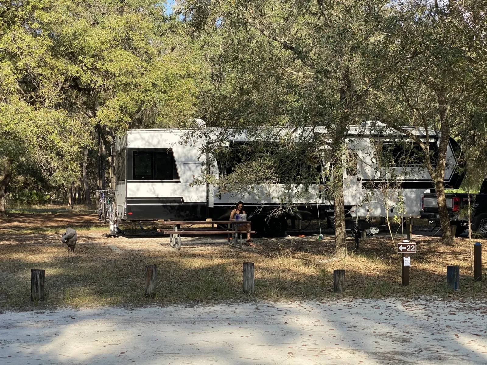 Our fifth wheel tucked under live oaks at Moss Park in Orlando, with Fabiola at the picnic table, a sandhill crane nearby and wooden posts lining the road
