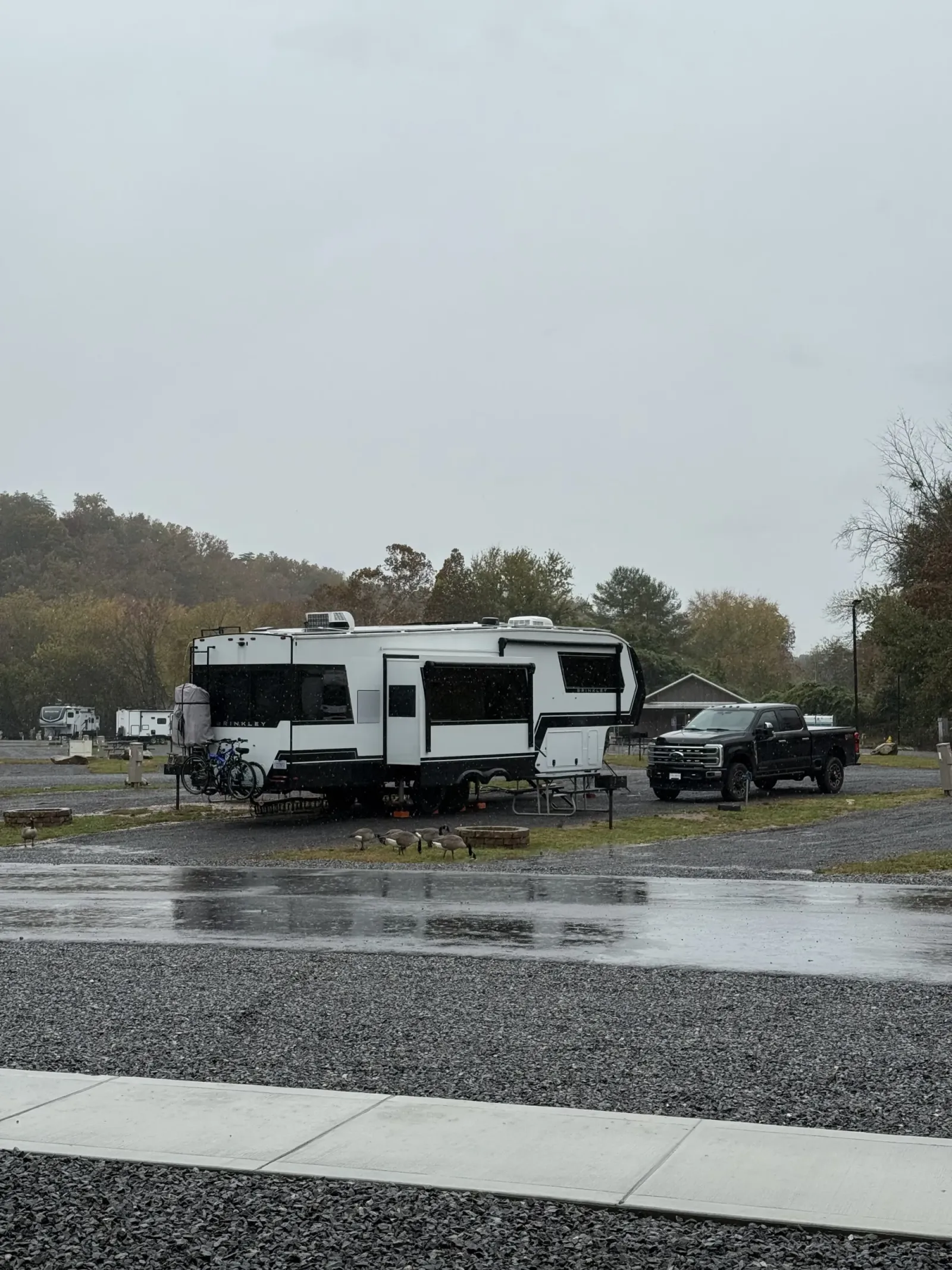 Our fifth wheel and truck on a gravel site at Appalachian Springs Outdoor Resort in Pigeon Forge on a rainy day, with geese grazing in front