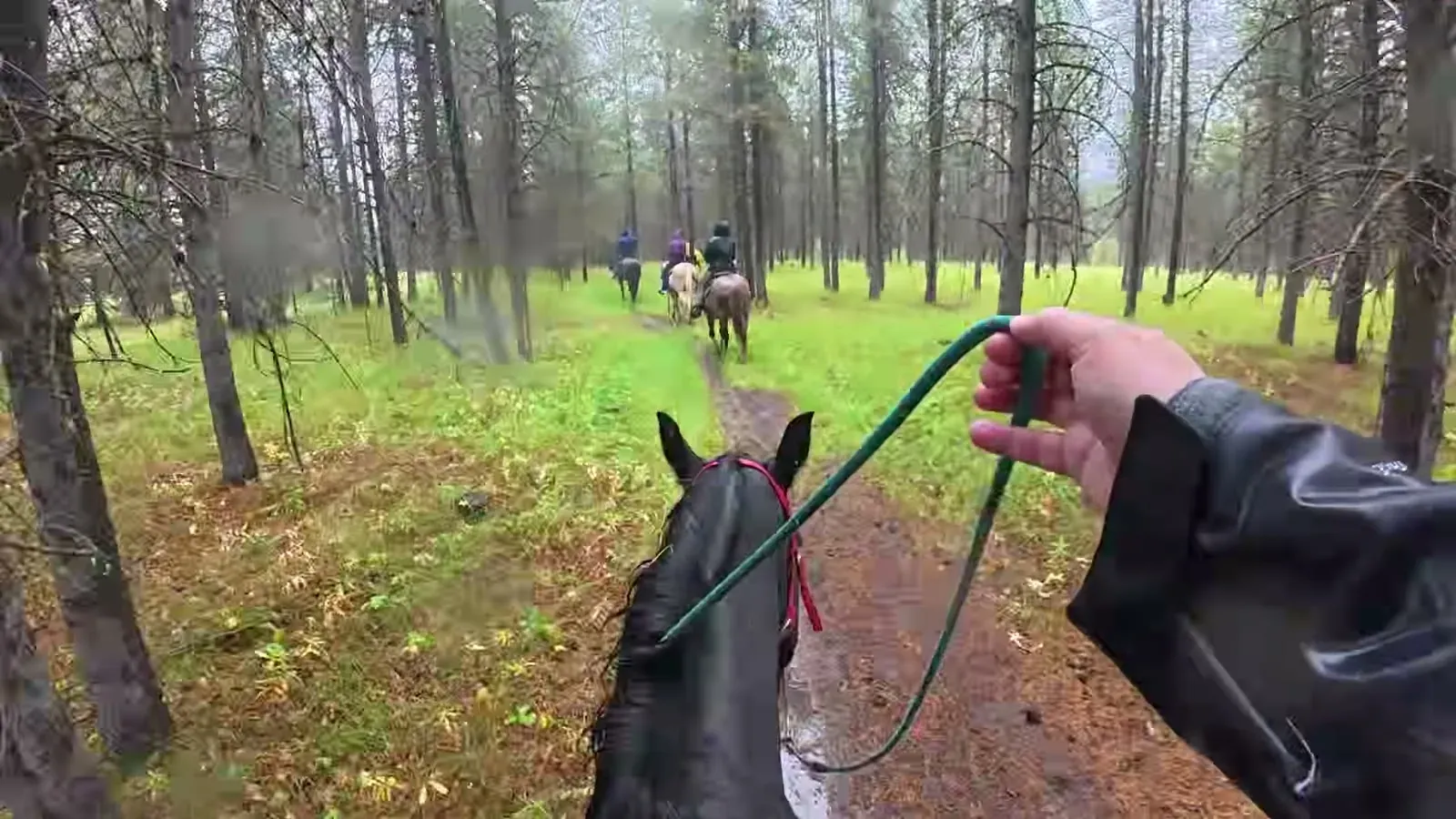 Holding the lead rope on horseback, following a line of riders down a muddy trail through the pines in the rain