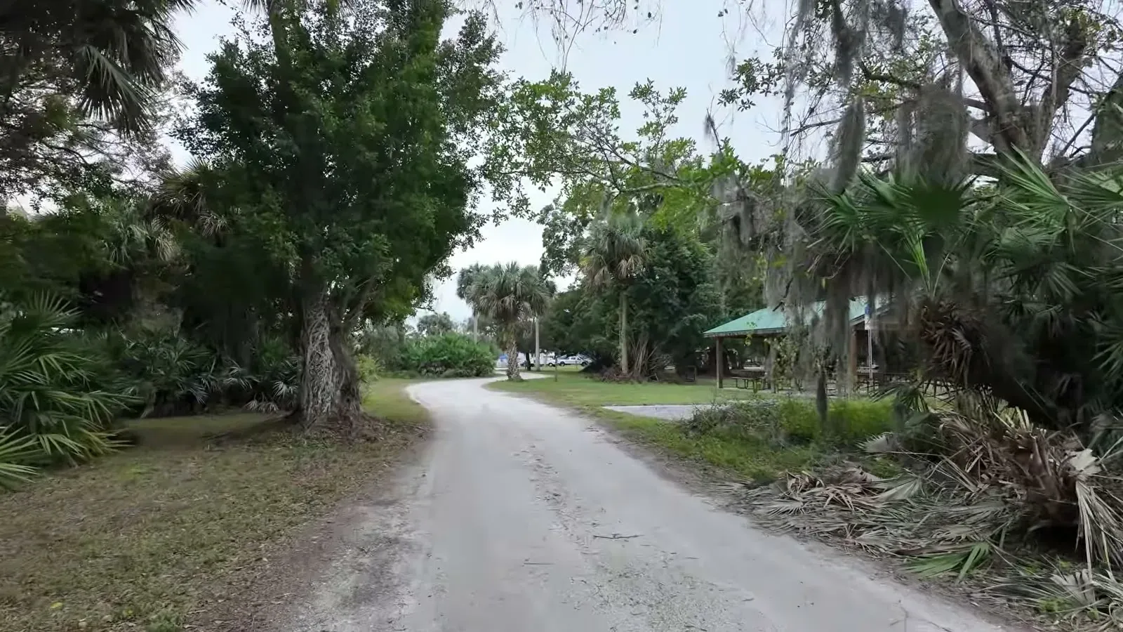The quiet dirt road into Dupuis Campground, lined with oaks and palmettos and not a hookup in sight.