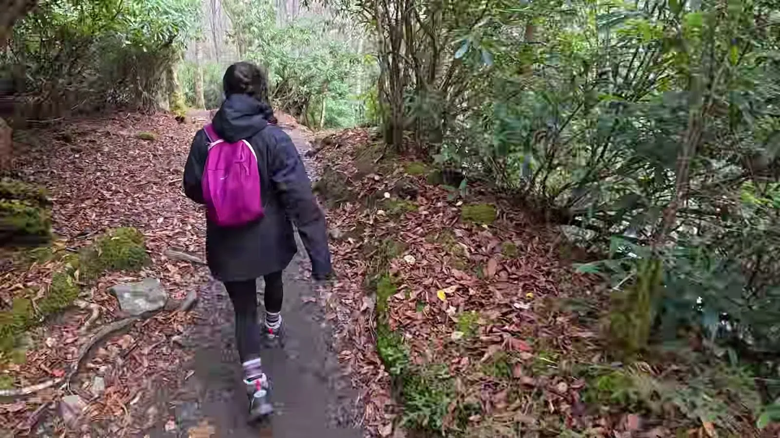 Fabiola walking the leaf-covered Alum Cave Trail with the overpacked pink backpack we swore to slim down next time.
