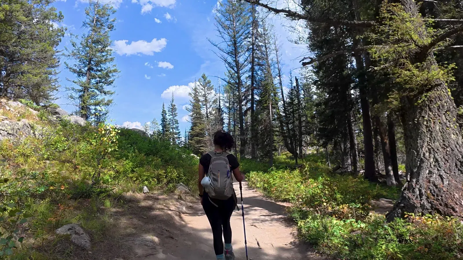 Fabiola walking a dirt trail through green brush and tall pines on the hike back