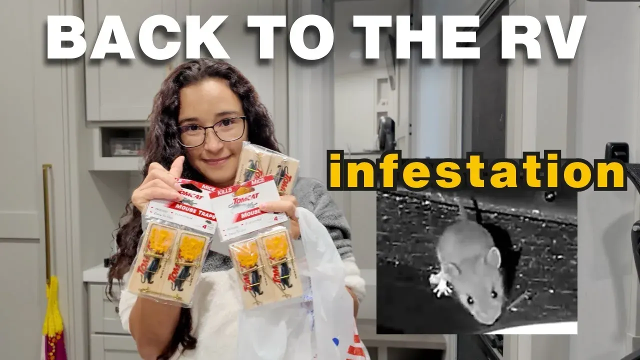 MOUSE INFESTATION in Our RV | Testing Every Trap and Bait We Could Find