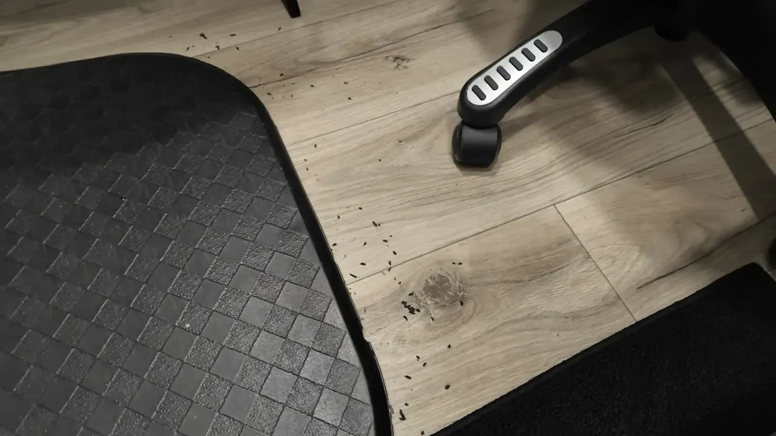 Mouse droppings scattered across the vinyl floor around the edge of our black anti-fatigue mat.