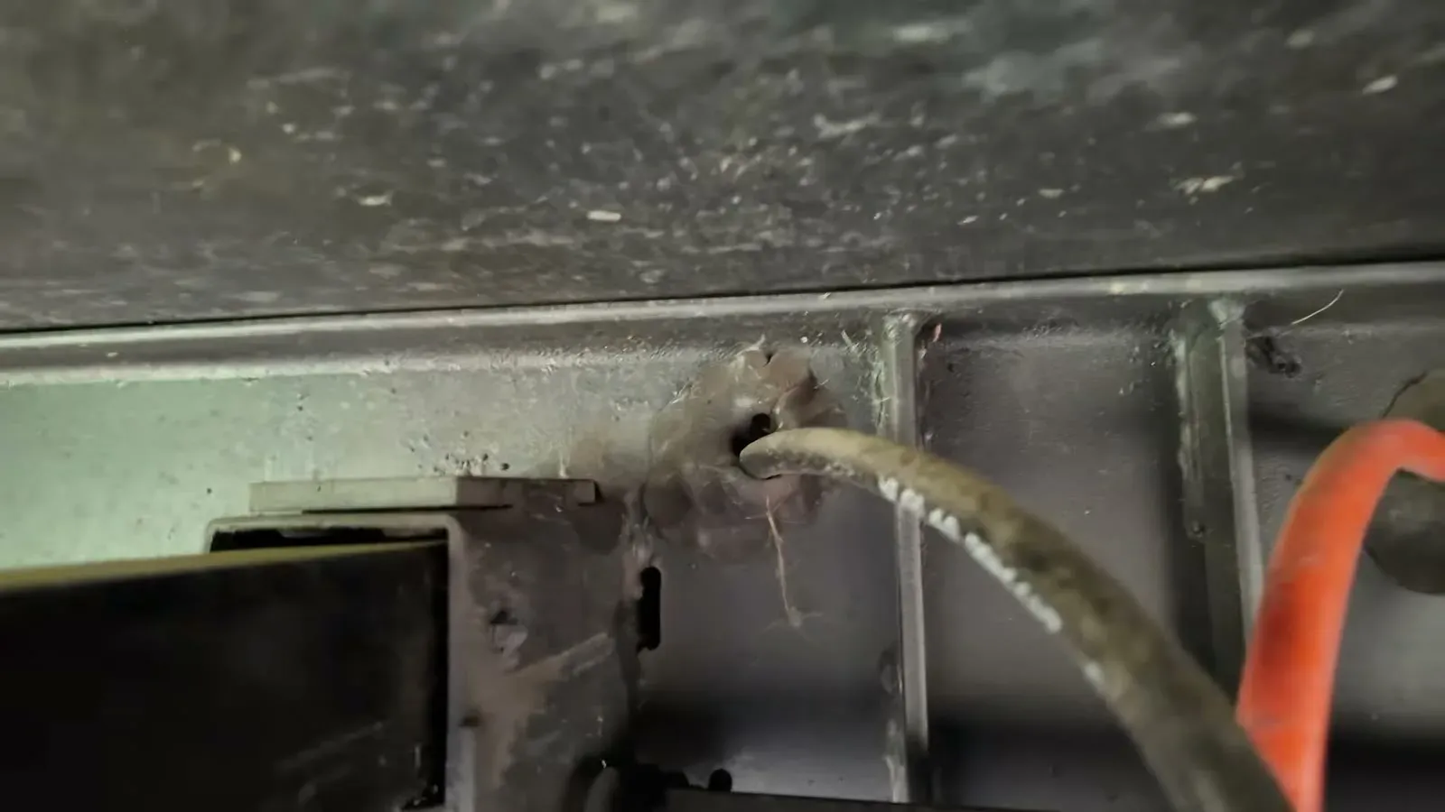 A gap in the RV underbelly frame where wiring passes through, exactly the kind of opening a mouse can use.