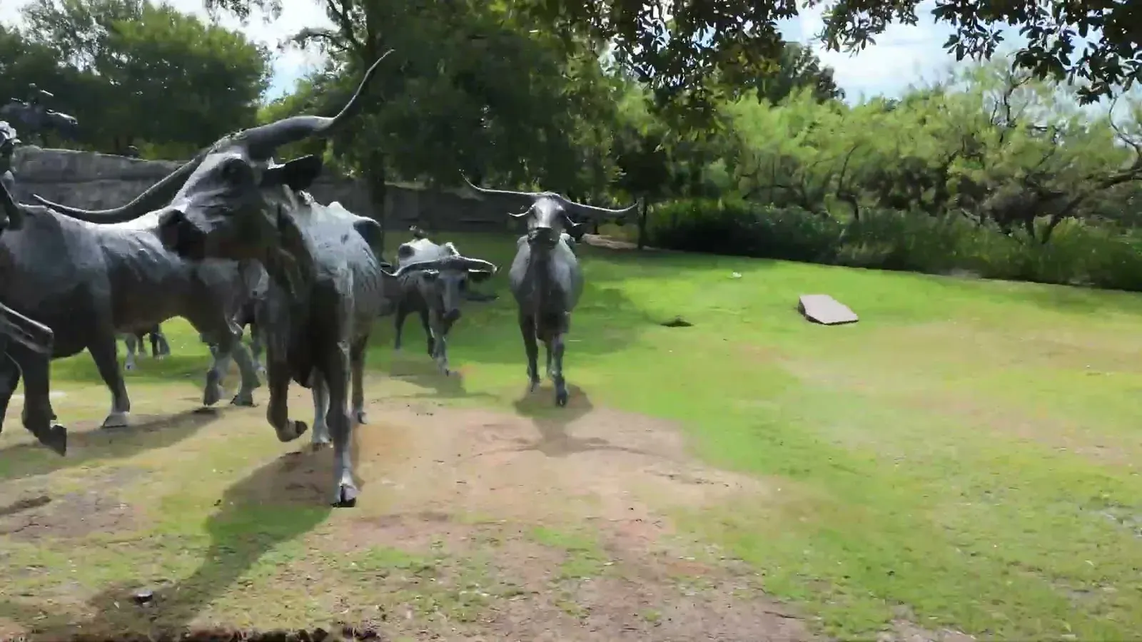 The bronze longhorn cattle drive at Pioneer Plaza, life-size steers marching across the grass in downtown Dallas.