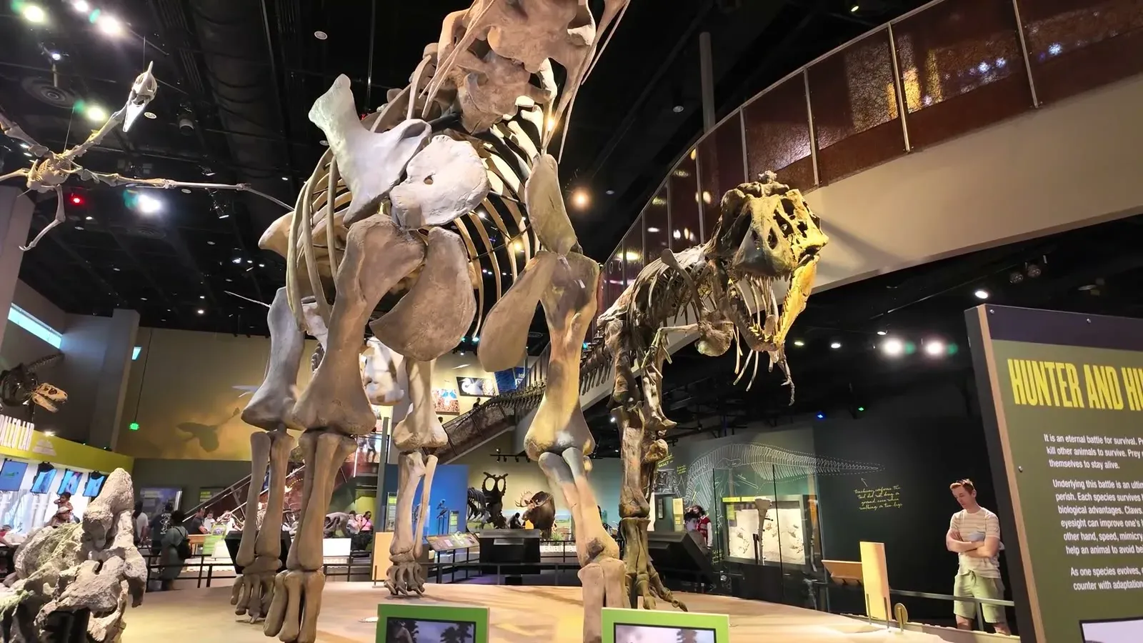 Full dinosaur skeletons towering over the hall at the Perot Museum of Nature and Science.