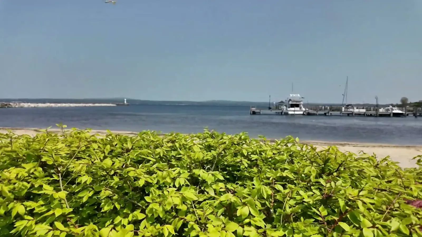 Little Traverse Bay from the Petoskey waterfront, calm water and the marina docks in the distance on a clear spring morning.
