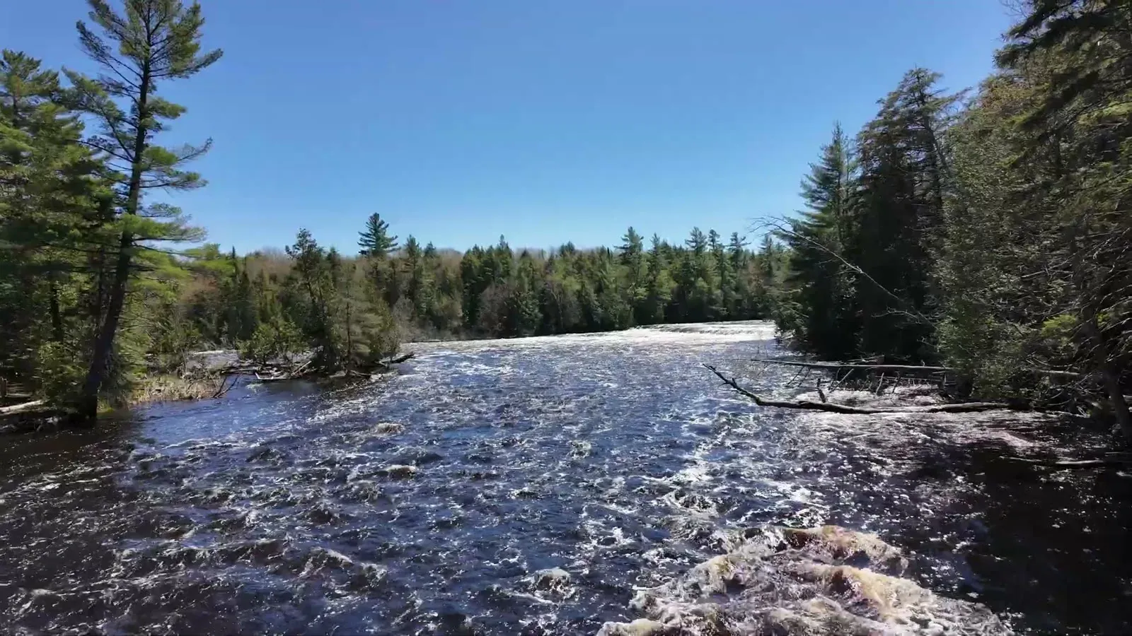 The Tahquamenon River running root-beer amber between pine banks under a clear spring sky.