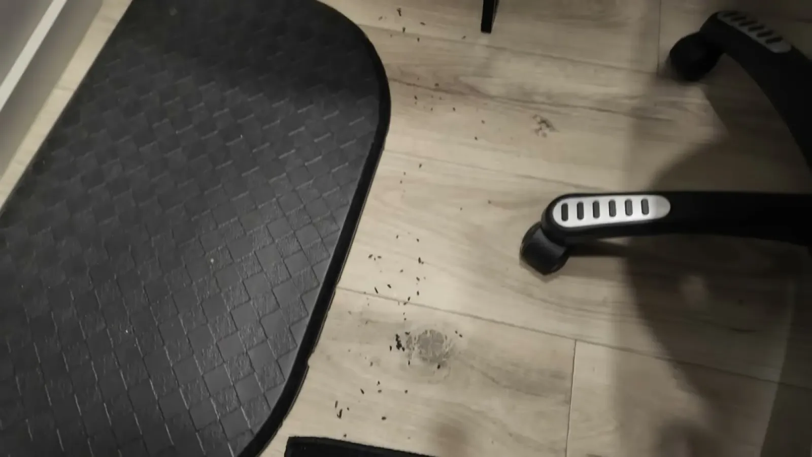 Mouse droppings scattered on an RV's wood-look floor next to a black anti-fatigue mat and an office chair base