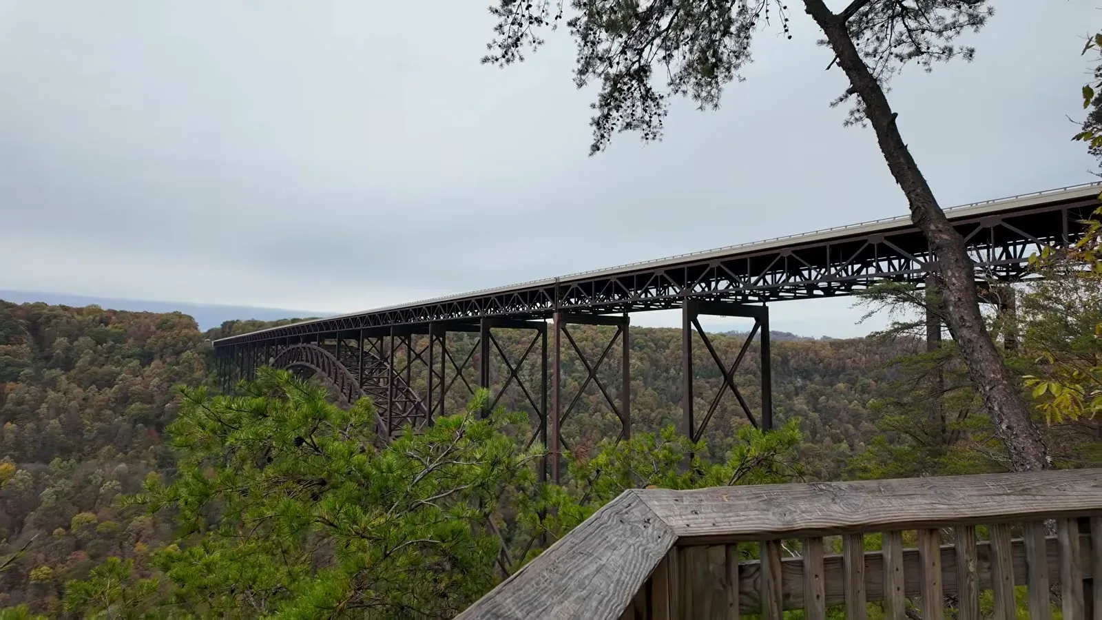 The New River Gorge Bridge stretching across the gorge, framed by pines from the overlook boardwalk.